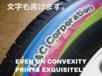 image-3815052469.jpg