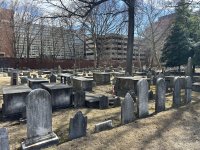 IMG_7082.jpeg