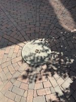 IMG_7102.jpeg