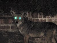 IMG_7150.jpeg