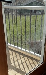 IMG_6915.jpeg