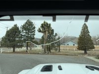 IMG_0621.jpeg