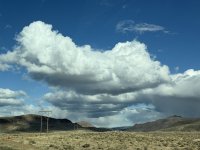 IMG_9228.jpeg