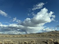 IMG_9231.jpeg