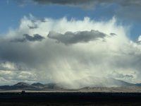 IMG_9238.jpeg