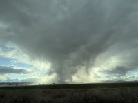 IMG_9242.jpeg