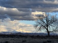 IMG_0662.jpeg