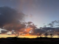 IMG_0670.jpeg