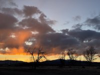 IMG_0672.jpeg