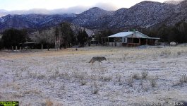 IMG_0686.jpeg