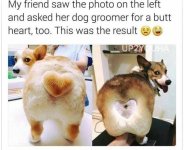 IMG_0856.jpeg