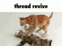 -7676006414110837065.gif