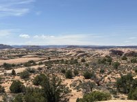 IMG_7713.jpeg