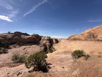 IMG_7720.jpeg