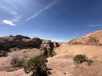 IMG_7721.jpeg