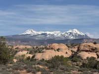IMG_7728.jpeg