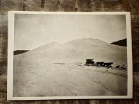IMG_5555.jpeg