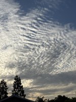 IMG_0902.jpeg