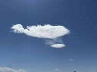 IMG_7844.jpeg