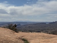 IMG_7827.jpeg