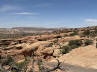 IMG_7828.jpeg