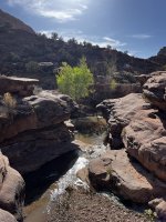 IMG_1993.jpeg