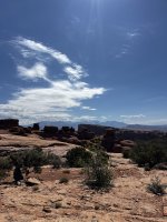 IMG_2010.jpeg