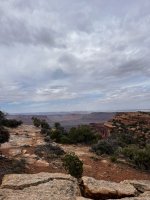 IMG_2045.jpeg