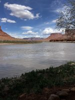 IMG_2063.jpeg