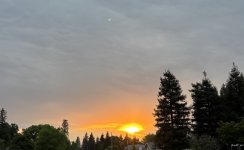 IMG_0931.jpeg
