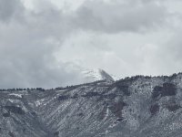 IMG_7958.jpeg