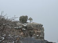 IMG_7964.jpeg