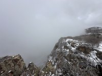 IMG_7966.jpeg