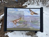 IMG_7967.jpeg