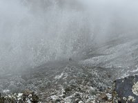 IMG_7970.jpeg