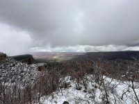 IMG_7978.jpeg