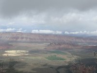 IMG_7979.jpeg