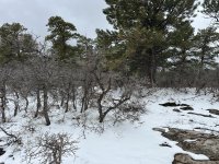 IMG_7987.jpeg