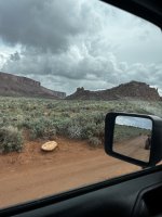 IMG_2081.jpeg