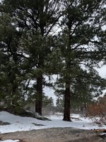 IMG_2104.jpeg
