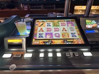 IMG_8052.jpeg