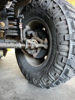 IMG_2168.jpeg