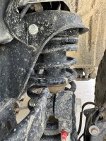 IMG_4240.jpeg