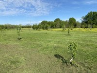 IMG_5914.jpeg