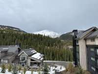 IMG_0393.jpeg