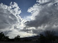 IMG_1390.jpeg