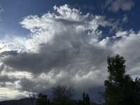 IMG_1391.jpeg