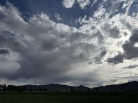 IMG_1392.jpeg