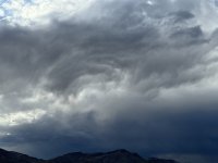 IMG_1393.jpeg