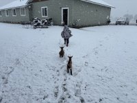 IMG_8199.jpeg